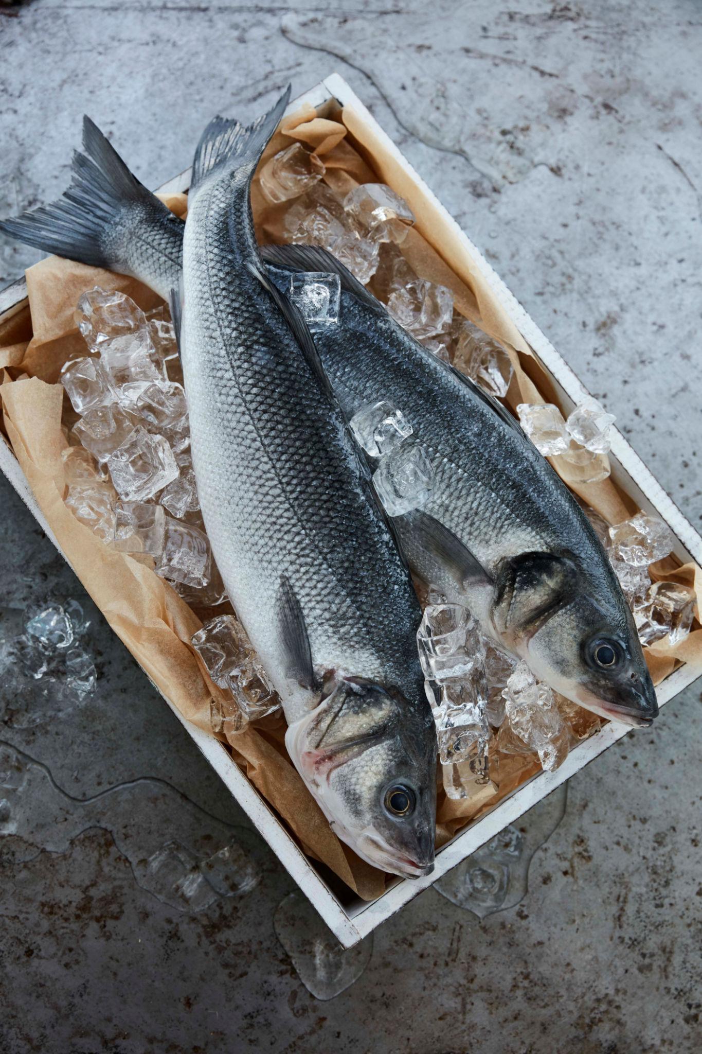 Raw salmon