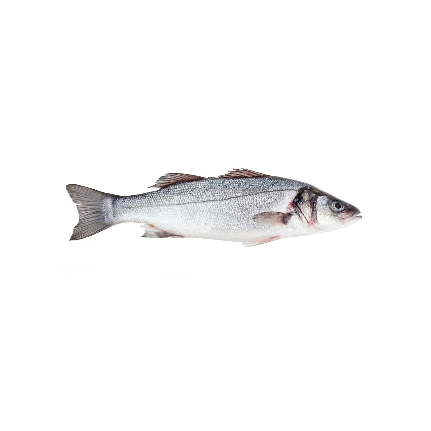 Smoked salmon