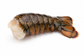 Jumpo lobster tail